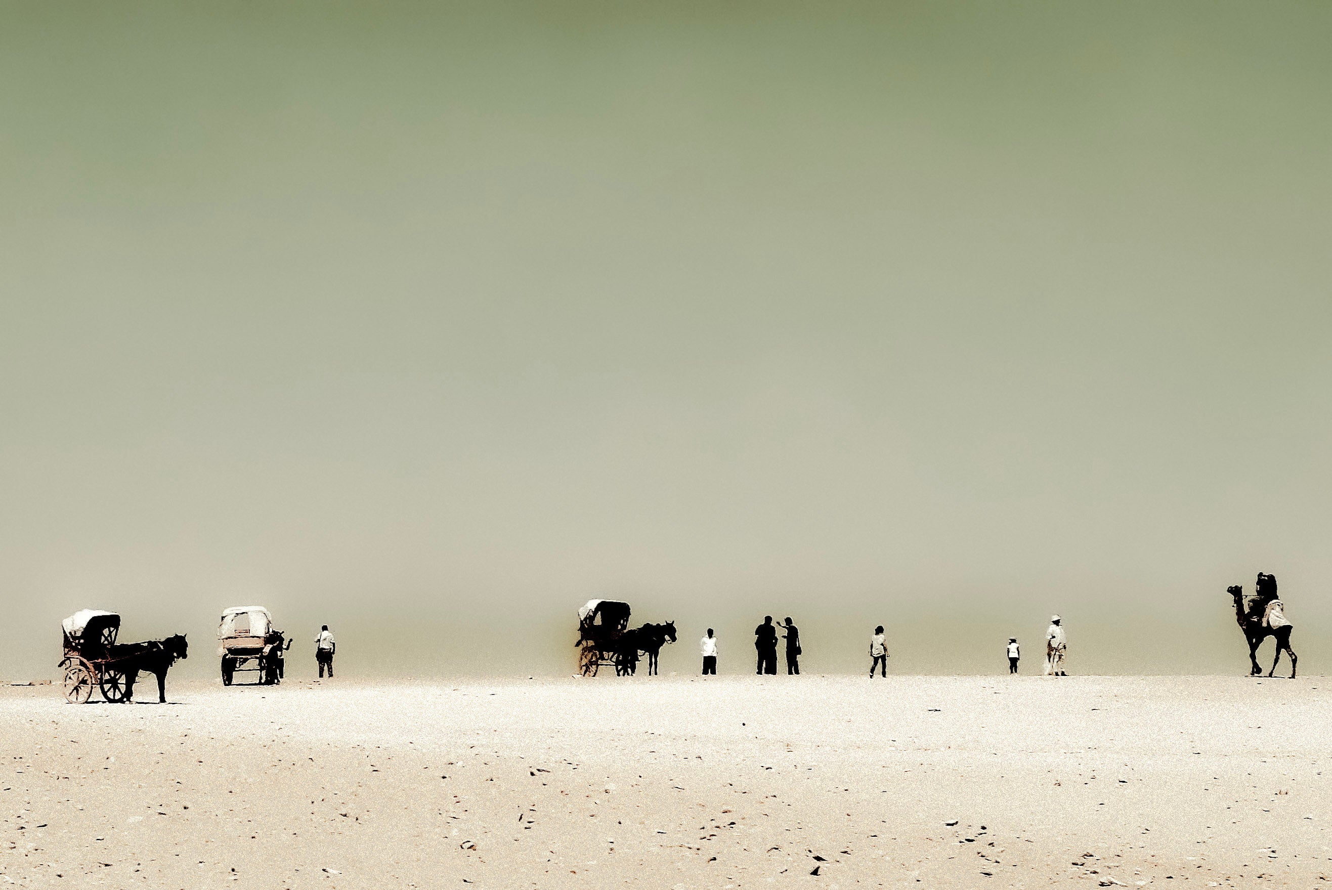 Fine Art Print Sand Horizon – Wüstenszene mit Eselskarren und Kamelen nahe den Pyramiden von Gizeh, Ägypten