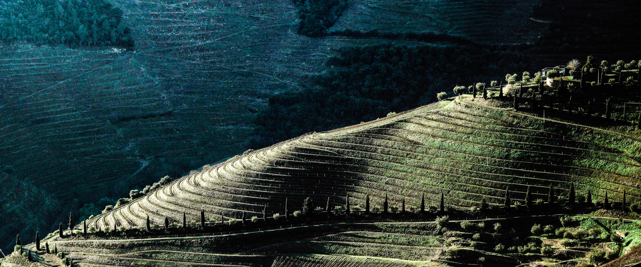 Weinberge im Douro-Seitental bei Sao Christovao do Douro Portugal, Fine Art Landschaftsfotografie limitierte Edition